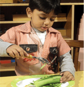 Manual 2: Montessori Exercises of Practical Life (EPL)