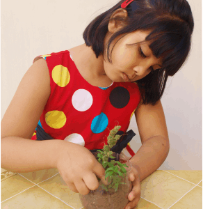 Manual 9: Montessori Culture B (Zoology, Botany and Science Experiments)