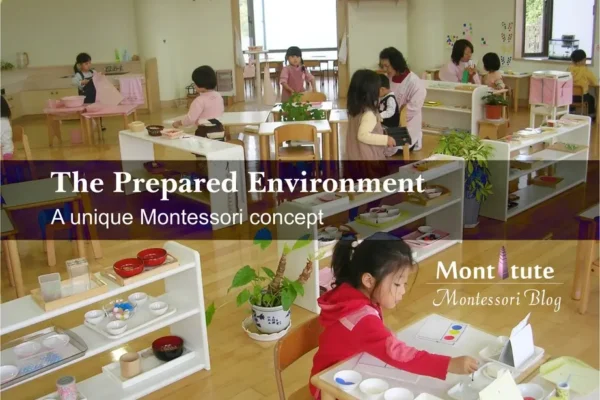 The Montessori Prepared Environment in Japan