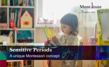 The concept of sensitive periods in Montessori education.