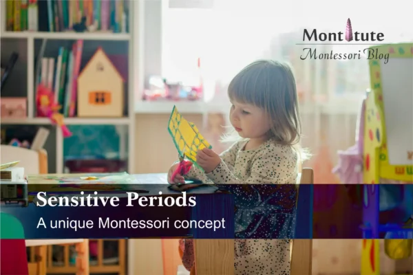 The concept of sensitive periods in Montessori education.